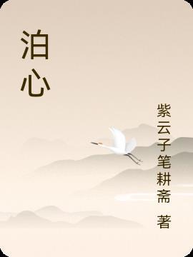 泊心酒属于什么档次
