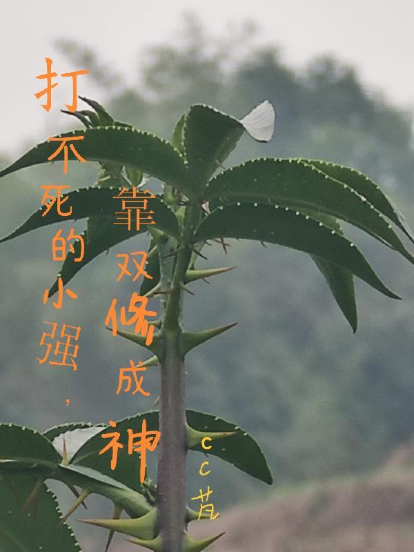 打不死的小强呀