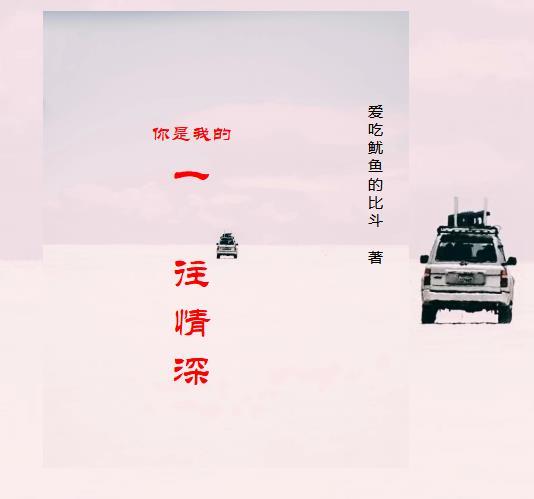你是我的一往情深安心陆长谦