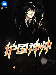 护国神帅写的怎么样
