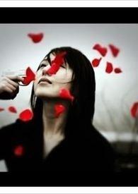 对不起我不爱你了短剧大结局视频