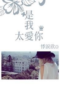 是我太过爱你下一句