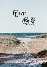 用心感受是什么歌