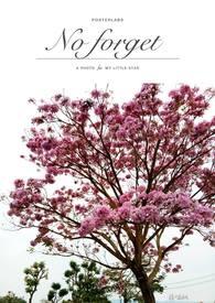 勿忘草长什么样