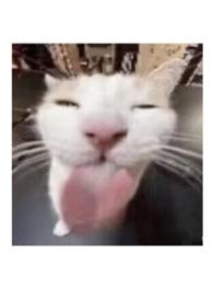 睡前来一瓶下一句