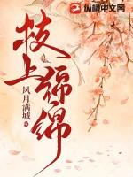 绵绵作者词枝