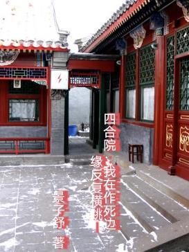 四合院我棒梗