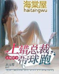 迷糊娇妻:上错总裁带球跑