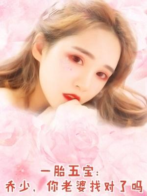 一胎五宝:乔少,你老婆找对了吗