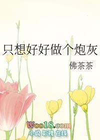 只想好好做个炮灰(穿越)