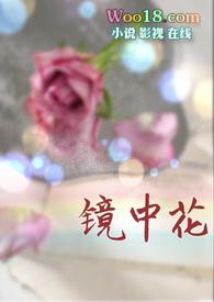 镜中花( 娱乐圈 H)