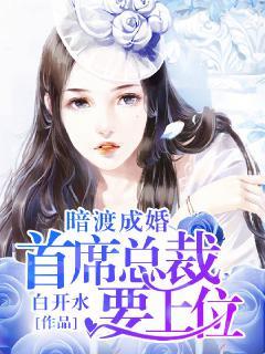 暗渡成婚:首席总裁要上位