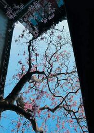 公主只想睡遍后宫(男生子