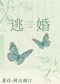 逃婚后去往何处()