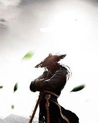 医武至尊:女总裁们哭着求我别放手