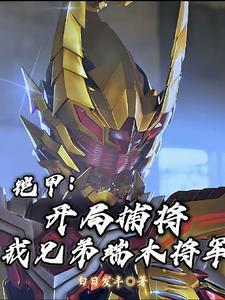 铠甲:端木燕我罩的