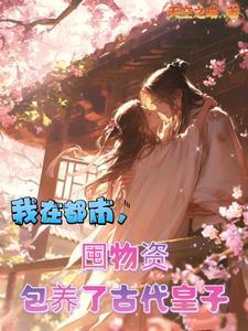 我在都市,囤物资包养了古代皇子