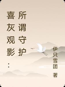 喜灰观影:所谓守护